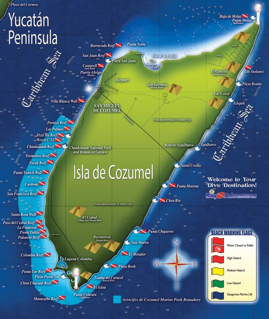 The Reefs of Cozumel