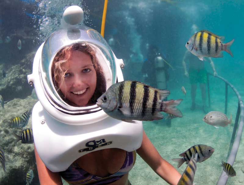 Home - Cozumel Visitors Guide